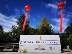 2020中国（五台山）国际文化用品及工艺品展览会开幕